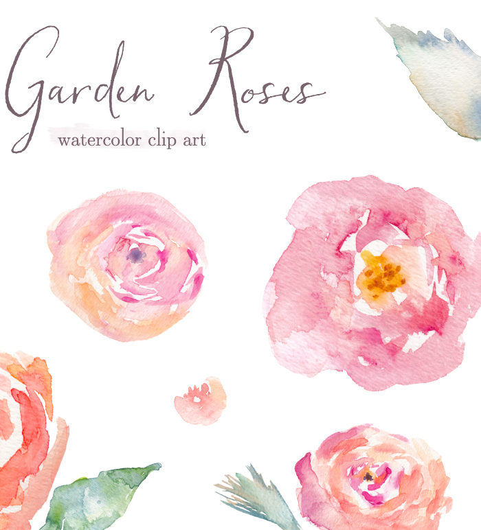 rose garden clip art free - photo #45