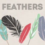 feather vector