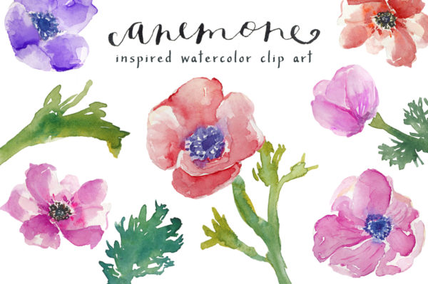 watercolor anemones clip art | angiemakes.com