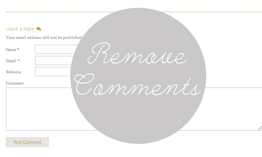 remove comment section from wordpress pages
