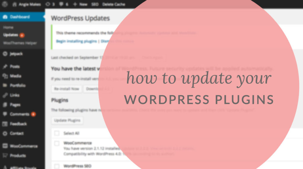 How To Update Your Wordpress Plugins | angiemakes.com