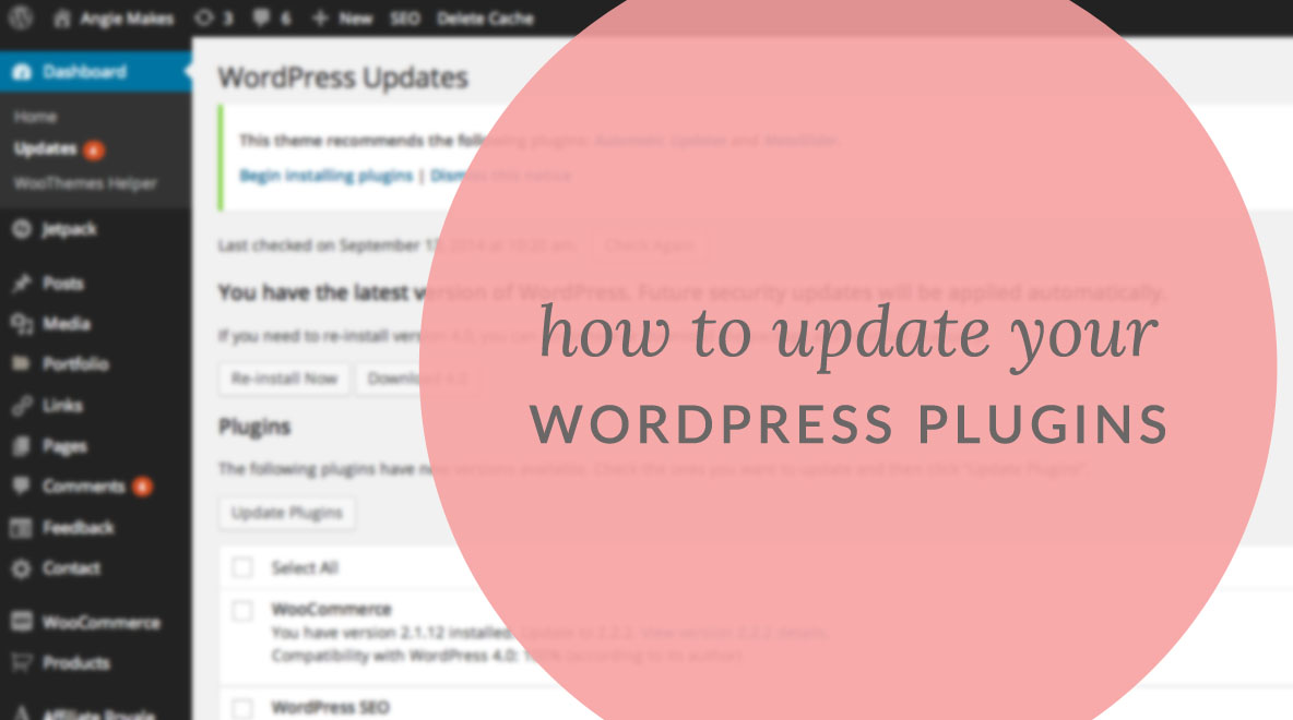 How To Automatically Update WordPress Plugins | angiemakes.com
