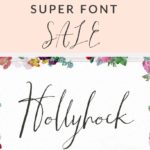 Font Bundle Sale - Modern Fonts -- 50 for only 30 bucks!