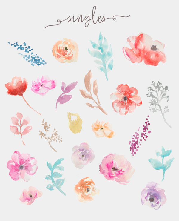Watercolor Clip Art Flowers Collection by | angiemakes