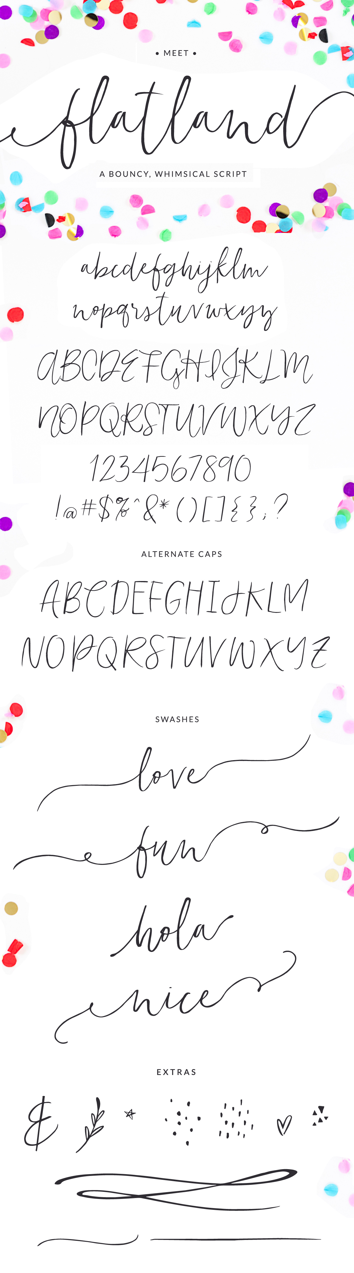 Flatland Modern Calligraphy Font by Angie Makes