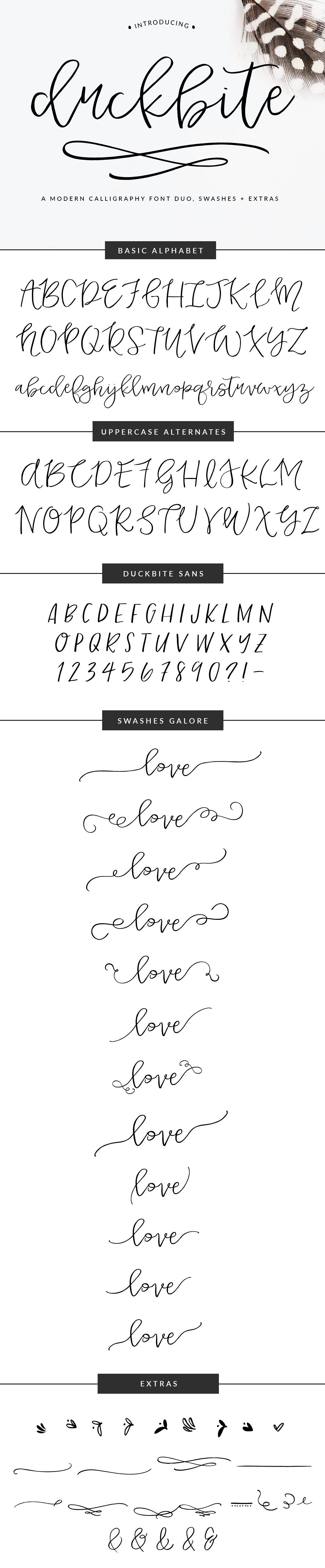 Duckbite, calligraphy font by | angiemakes