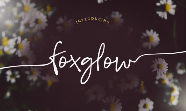 Foxglow Modern Handwritten Font by angiemakes